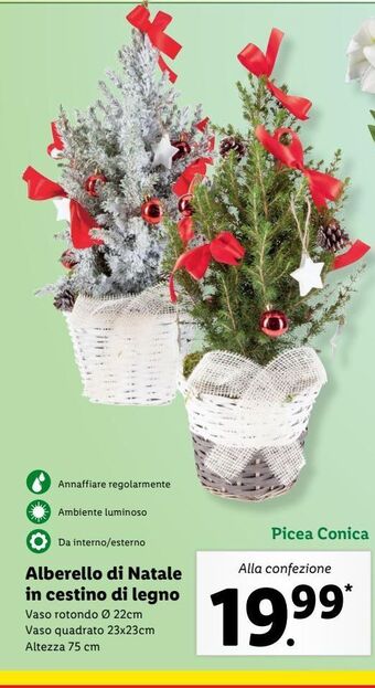 Lidl Alberello di natale in cestino di legno offerta
