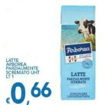 Vivo Supermercati Arborea Latte parzialmente scremato offerta