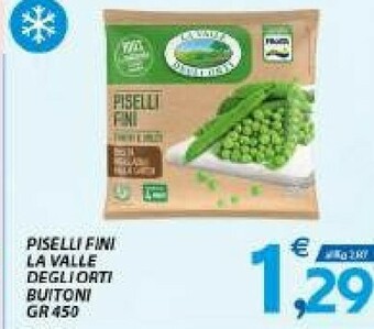 Fini Modena Piselli