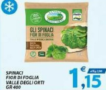 Vivo Supermercati Vallè Spinaci offerta