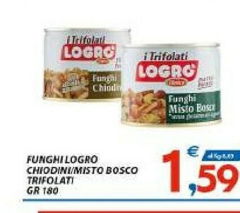 Vivo Supermercati Logro Funghi sott olio offerta