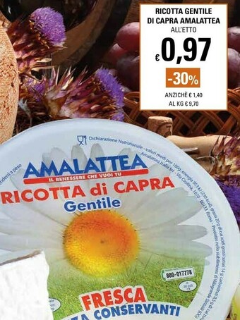 Basko Pecorino offerta