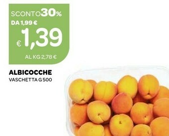 Ekom Albicocche offerta