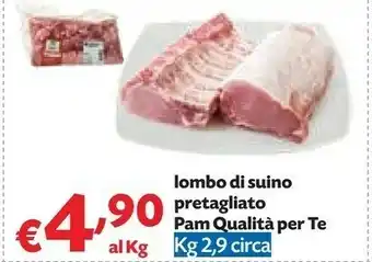 Pam Pam Lomba Di Suino Pretagliato Qualita Per Te offerta