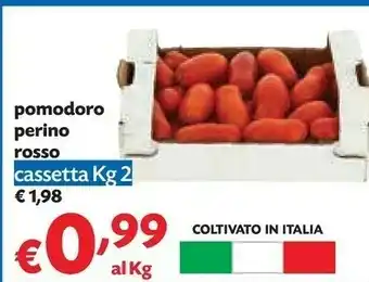 Pam Pomodoro Pecorino Rosso offerta