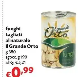 Panorama Il Grande Orto Funghi Tagliati Al Naturale offerta