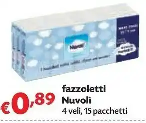 Panorama Nuvoli Fazzoletti offerta