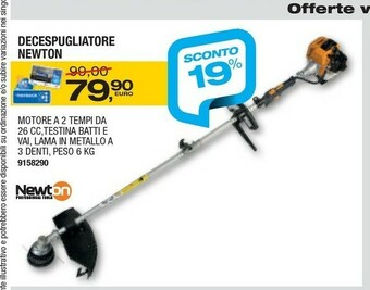 Bricofer Newton Decespugliatore offerta
