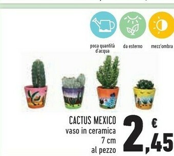 Conad Piante offerta