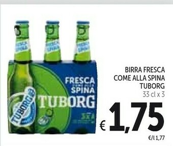 Conad Tuborg Birra offerta