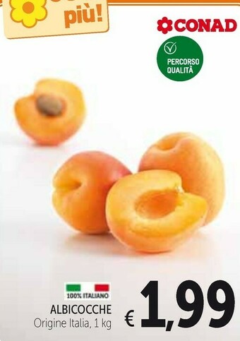 Conad Albicocche offerta