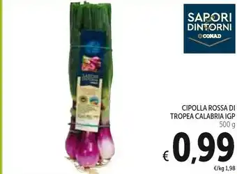Conad Sapori Cipolle offerta