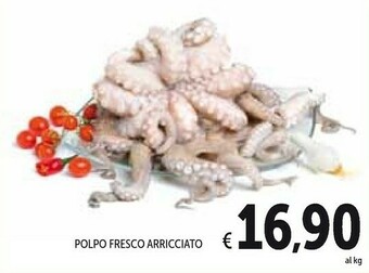 Conad Polpo offerta