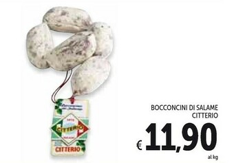 Conad Citterio Salame offerta