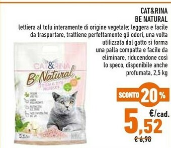 Conad Lettiera per gatti offerta