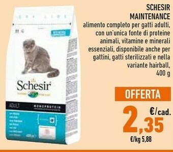 Conad Cibo per gatti offerta