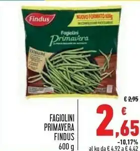 Conad Findus Surgelati offerta