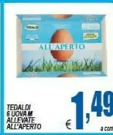DEM Tedaldi Uova offerta
