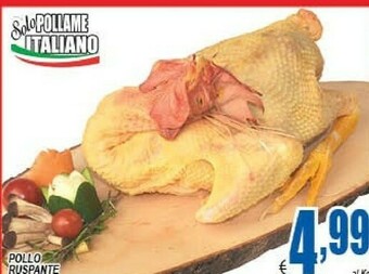 DEM Pollo offerta