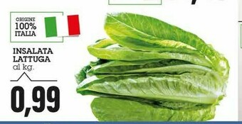 Emi Supermercati Insalata Lattuga offerta