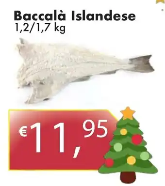 Baccalà Islandese 1,2/1,7 kg