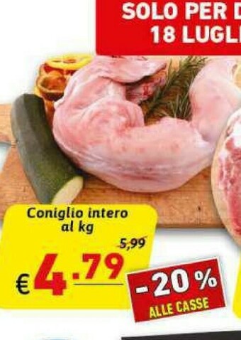 Coniglio