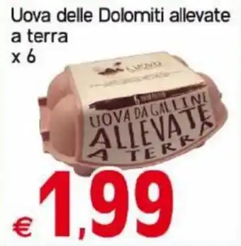 Uova delle Dolomiti allevate a terra x 6