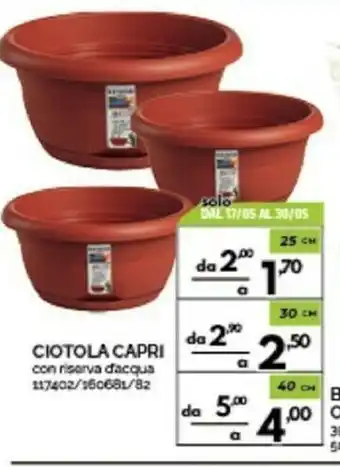 Orizzonte Ciotola Capri offerta