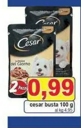 Cesar Cibo per cani