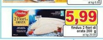 Findus Pesce surgelato