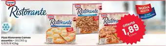 Despar Cameo Pizza Ristorante assortita 310/365 g offerta