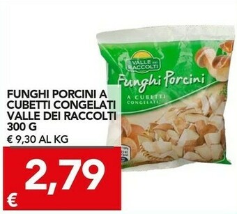 TuoDi Vallè Funghi porcini offerta
