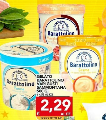 TuoDi Sammontana Barattolino Panna 500 G(ml) offerta