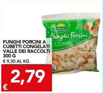 Vallè Funghi porcini