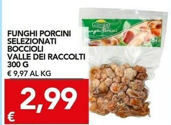 Vallè Funghi porcini