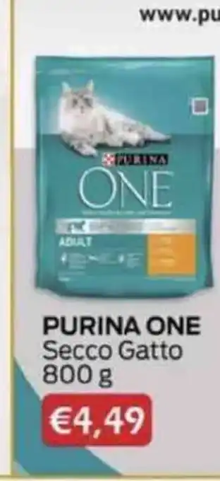 Purina One Secco Gatto 800 g