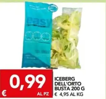 TuoDi Iceberg Dell'Orto Busta 200g offerta