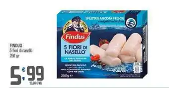 Ottimo Market Findus 5 fiori di nasello 250 gr offerta