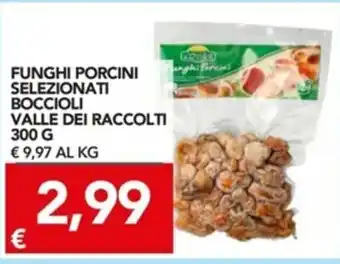 TuoDi Valle di Raccolti Funghi Porcini Selezionati Boccioli 300g offerta