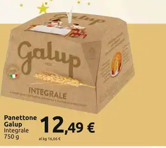 Panettone galup