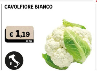 Cavolfiore Bianco