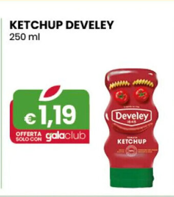 Develey Ketchup 250 ml