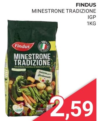 Eté Findus Minestrone Tradizione IGP 1 kg offerta