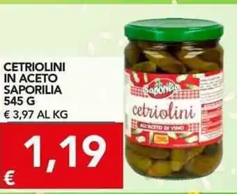 Saporilia Cetriolini in Aceto 545g