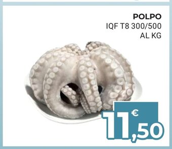 Eté Polpo IQF T8 300 / 500 Al Kg offerta