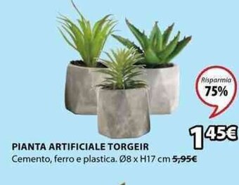 JYSK Pianta Artificiale Torgeir Ø8 x H17 cm offerta
