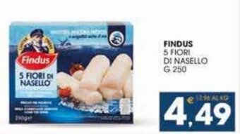 SeBón Supermercati Findus 5 Fiori di Nasello g 250 offerta