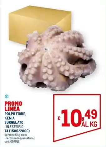 Metro Polpo Fiore, Kenia Surgelato, T4 (1500/2000) 6kg offerta