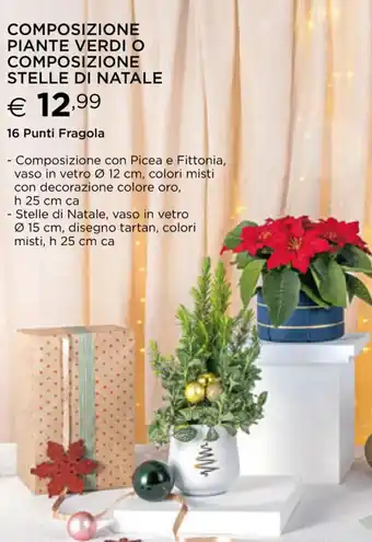 Esselunga Composizione Piante Verdi o Composizione Stelle di Natale 16 Punti Fragola offerta