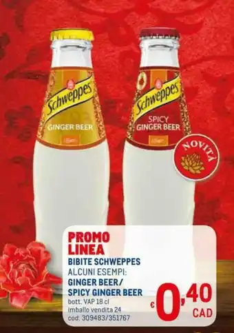 Schweppes Bibite Ginger Beer/Spicy Ginger Beer 18cl